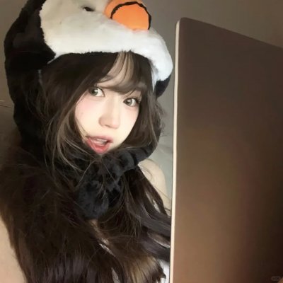 红狐